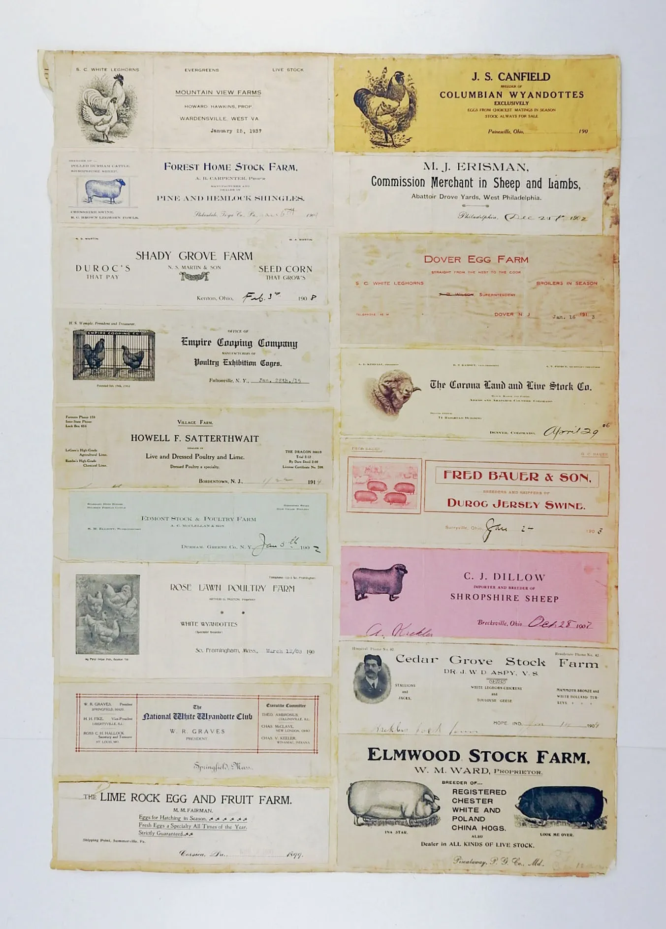 Mounted Collection of Antique Farm & Livestock Letterhead Graphics
