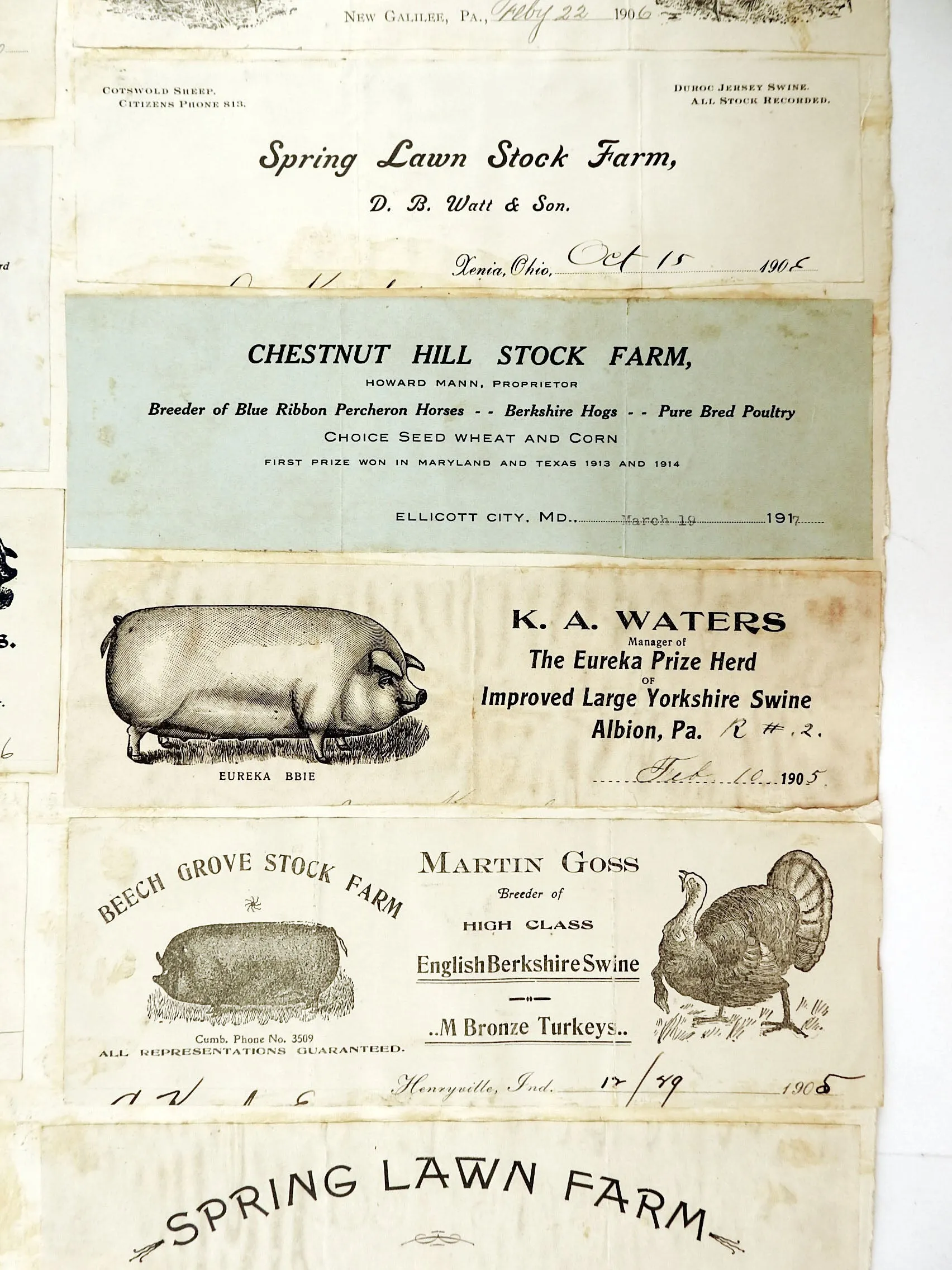 Mounted Collection of Antique Farm & Livestock Letterhead Graphics