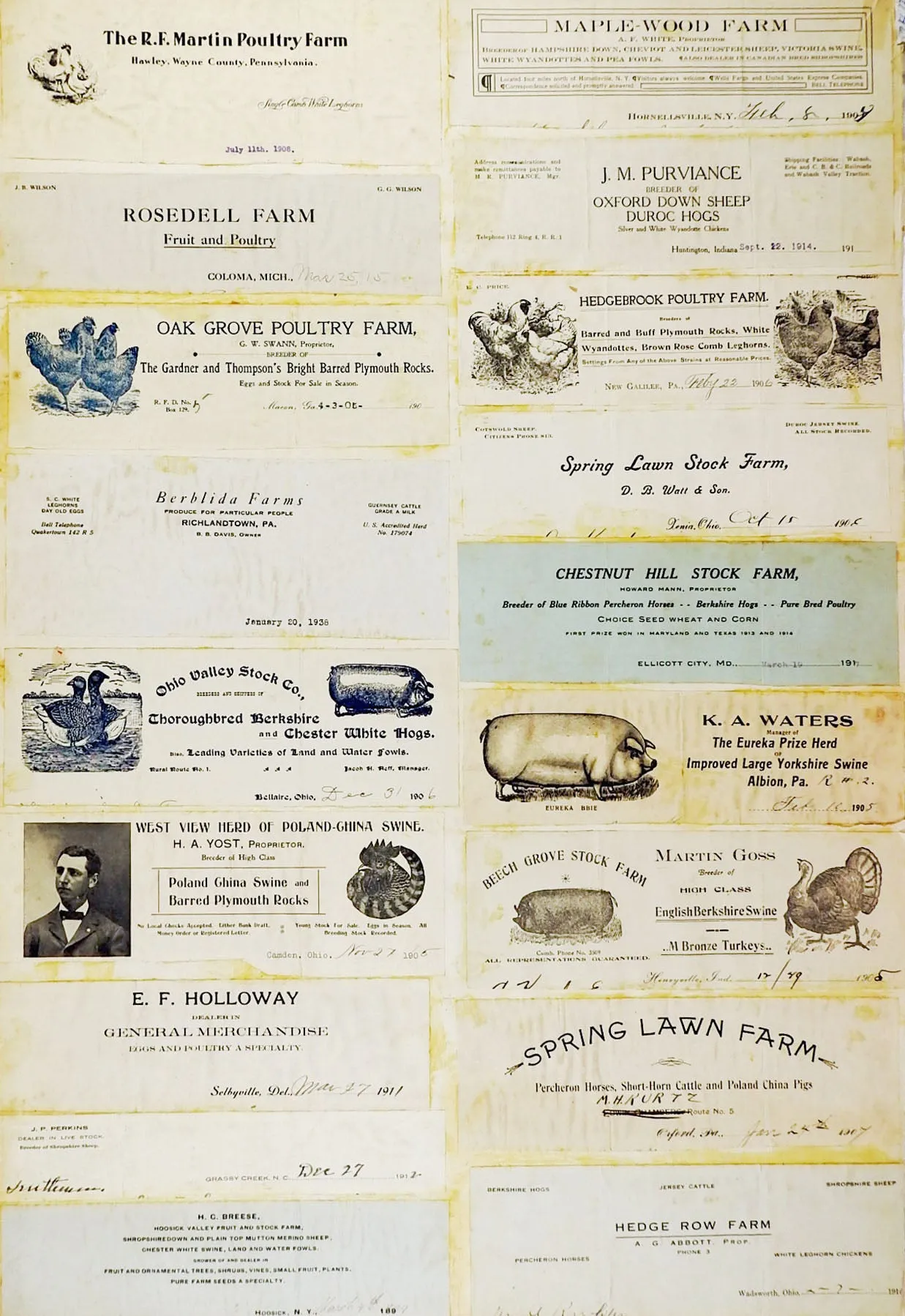 Mounted Collection of Antique Farm & Livestock Letterhead Graphics