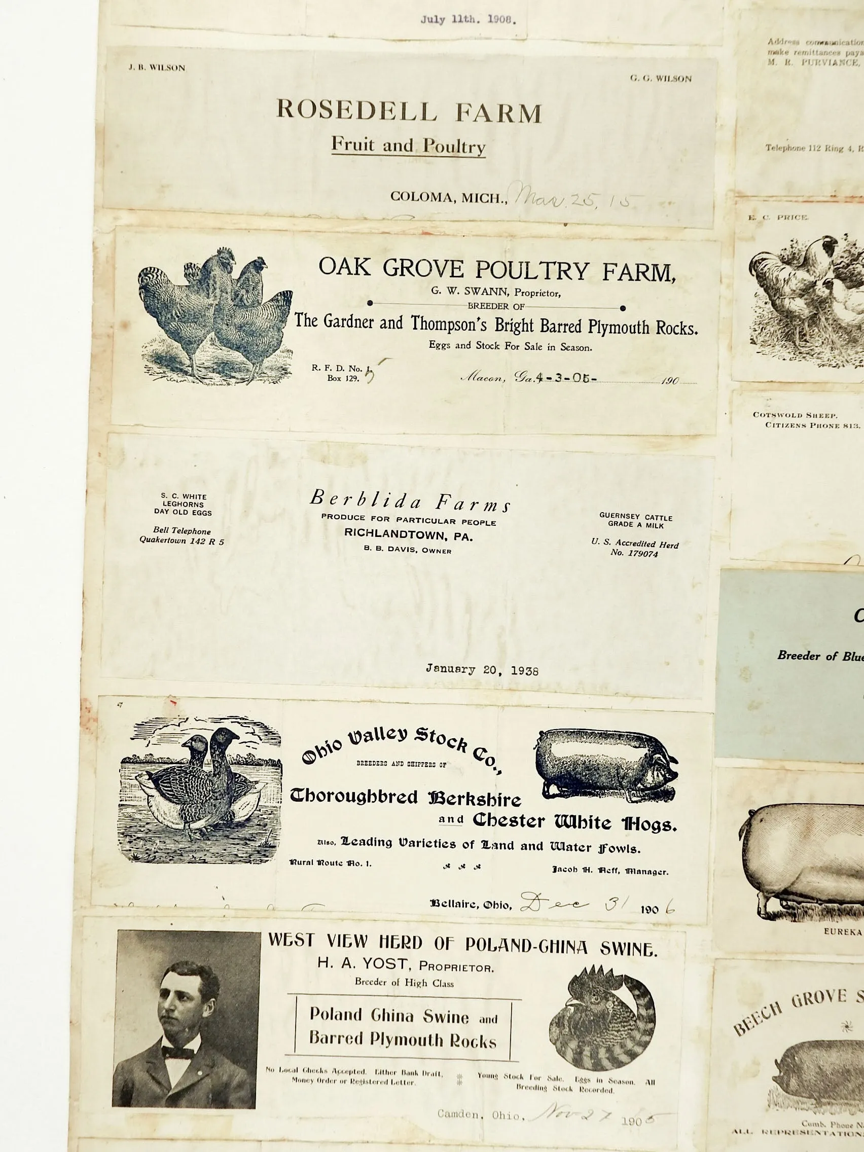 Mounted Collection of Antique Farm & Livestock Letterhead Graphics