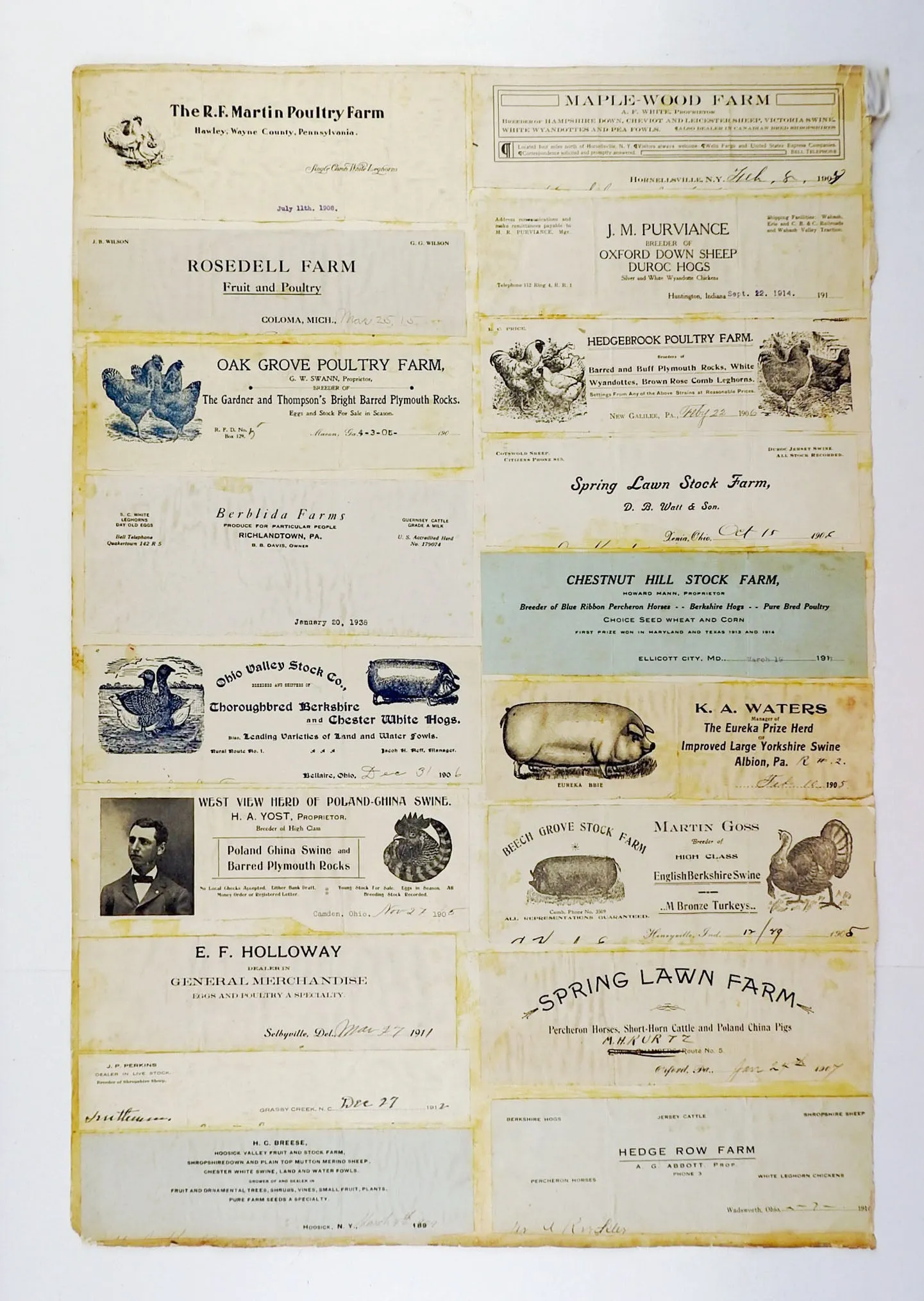 Mounted Collection of Antique Farm & Livestock Letterhead Graphics