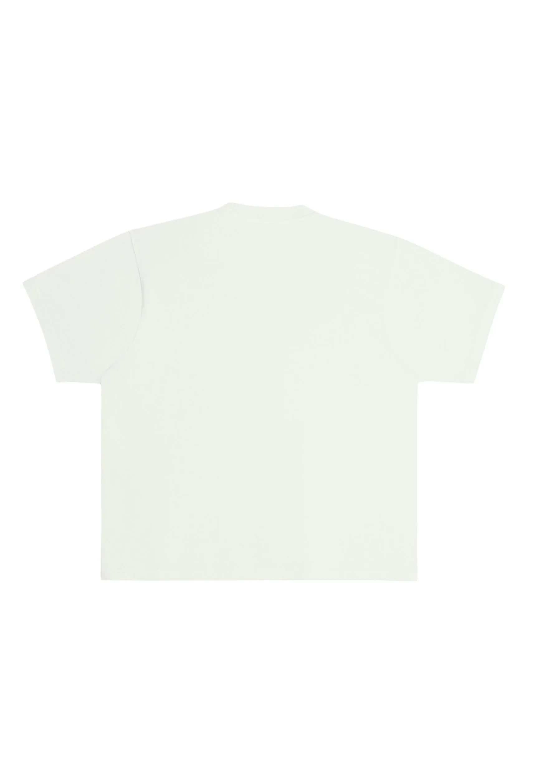Streetwear Heavyweight Short Sleeve Tee - Pistachio